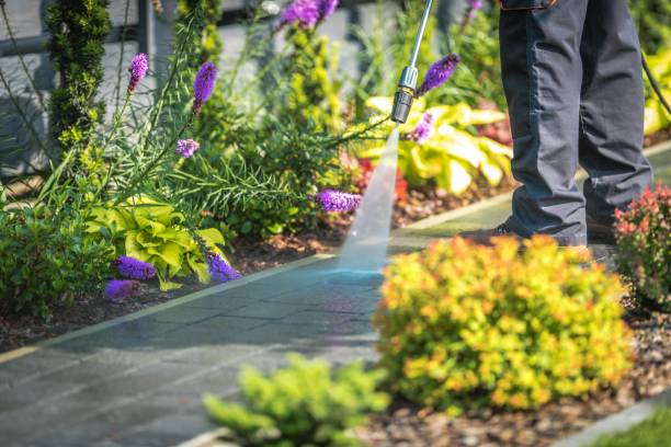 Best Concrete Surface Cleaning in Whitefish, MT